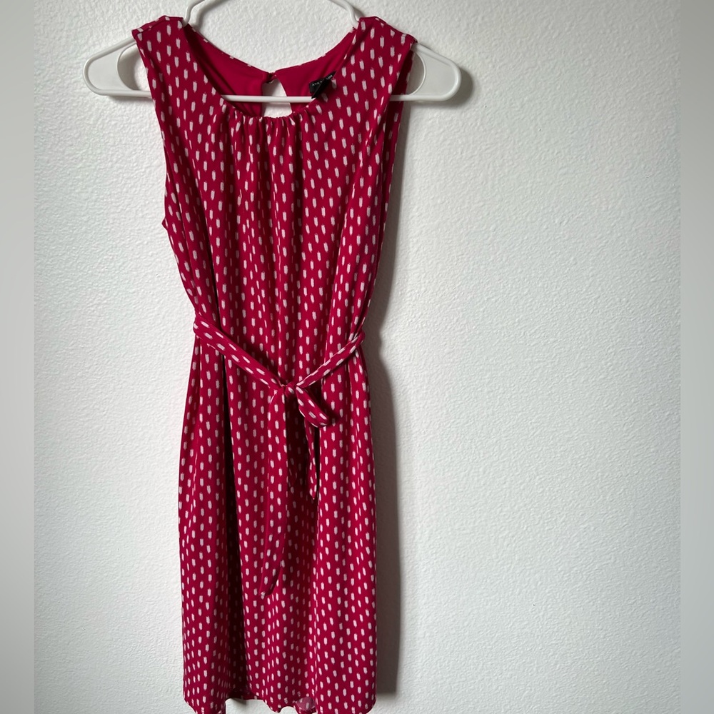 Ann Taylor Women's Pink/Red Dress Size S Petite